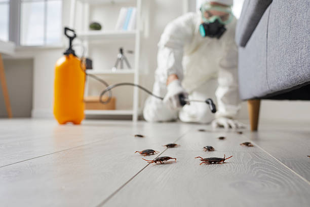 Commercial Kitchen Cockroach Control in Pompton Plains